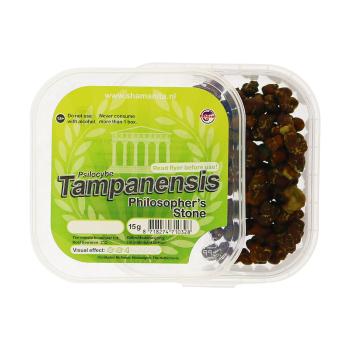 Tampanensis - Stein der Weisen Trüffel 15g