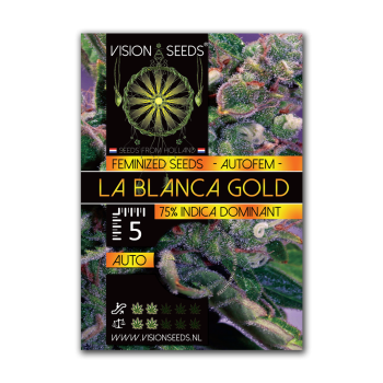 Hanfsamen La Blanca Gold Autoflower feminisiert 5 Samen