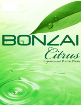 Bonzai Citrus 3g