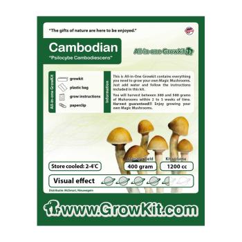 Cambodian Growkit - 1200cc