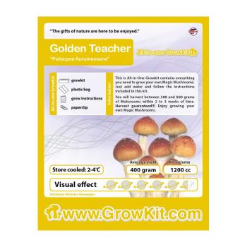 Golden Teacher 1200cc