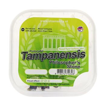 Tampanensis - Stein der Weisen Trüffel 15g