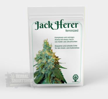 Hanfsamen Jack Herer feminisert 3 Stk.