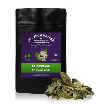 Chacruna (Psychotria viridis) Blätter 25g