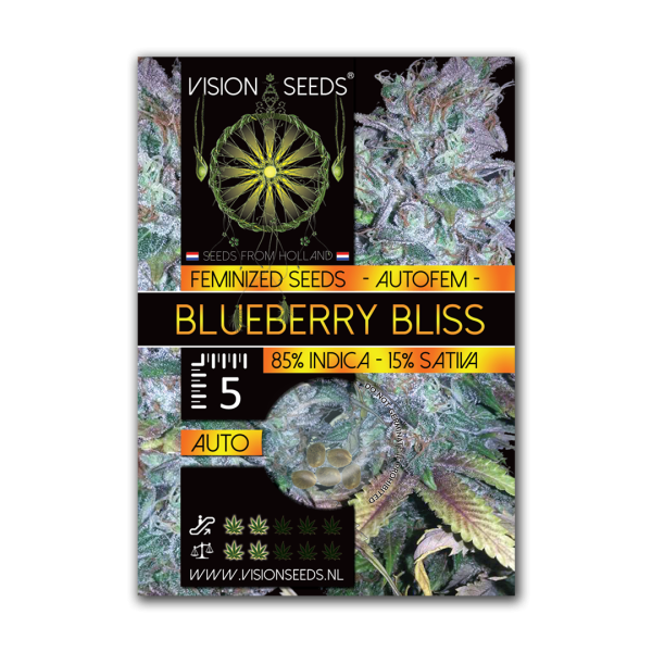 Hanfsamen BLUEBERRY BLISS feminisert 5 Stk.