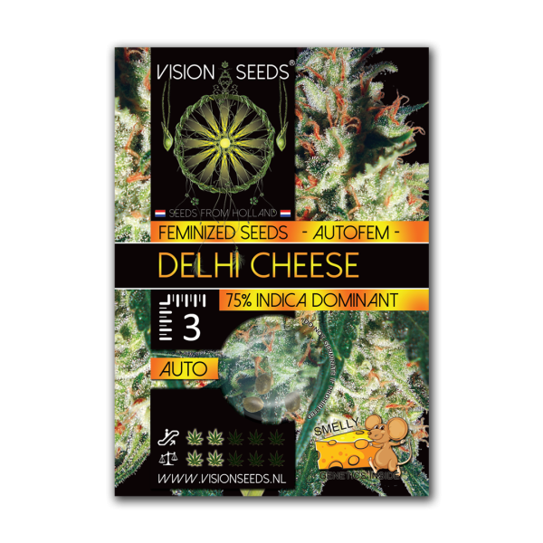 Hanfsamen Delhi Cheese Autoflower feminisiert 5 Stk.